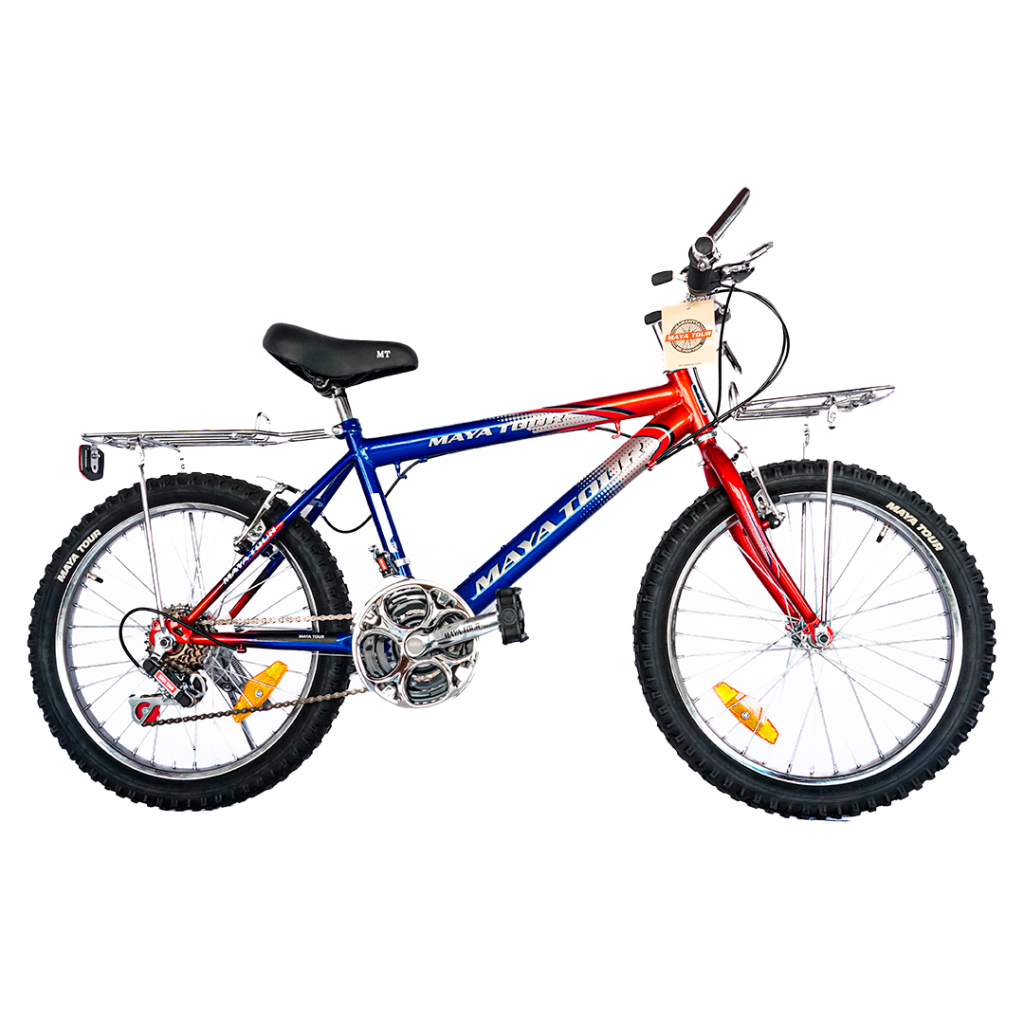 Bicicleta No.20 doble parrilla 